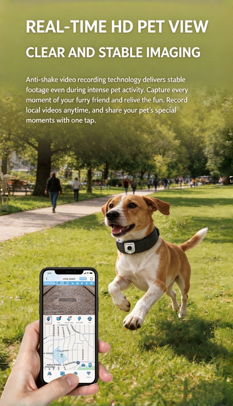 Pet Smart Collar