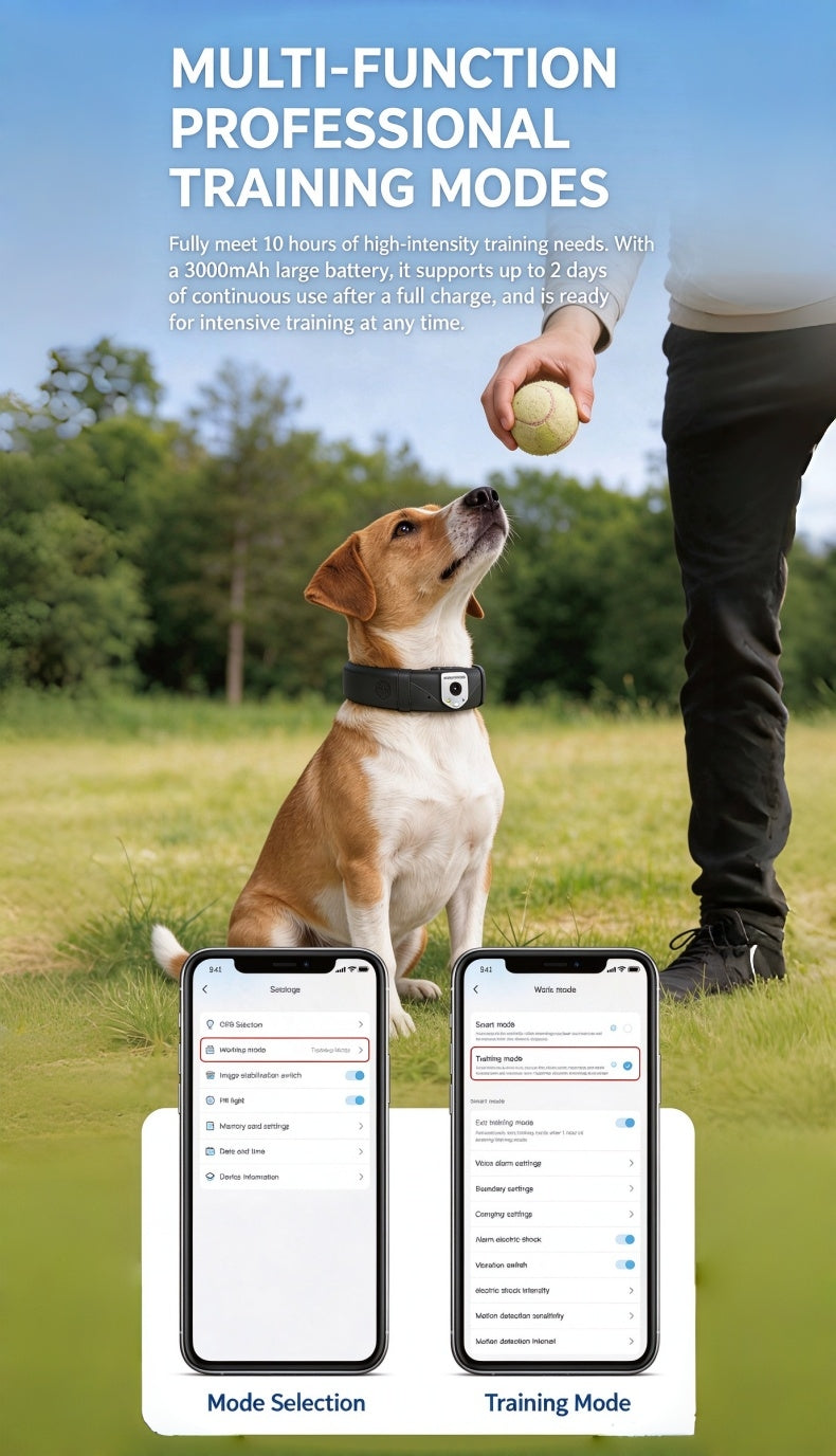 Pet Smart Collar