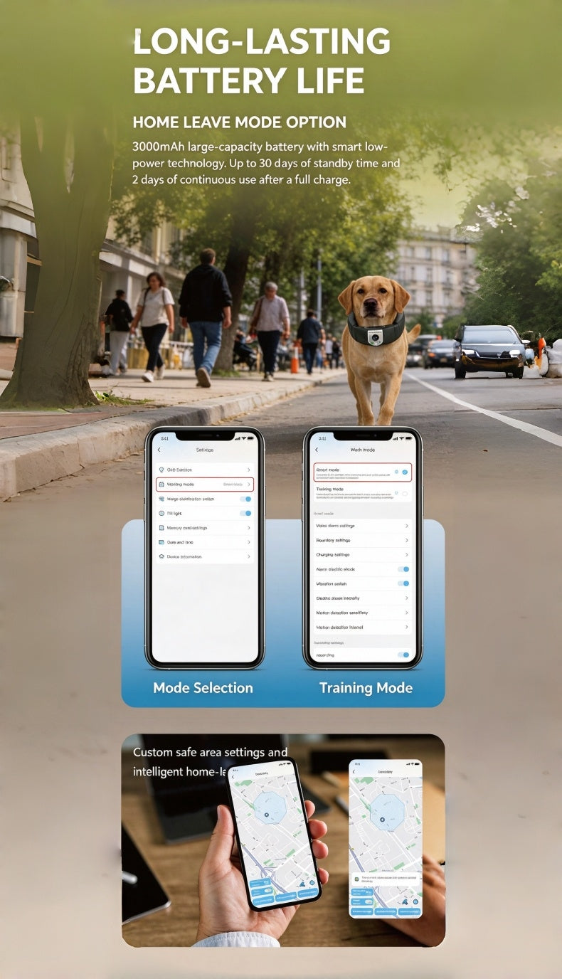 Pet Smart Collar